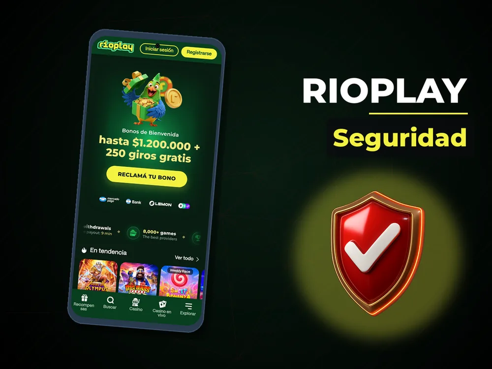 RioPlay - Seguridad