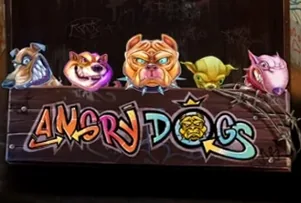 Angry Dogs
